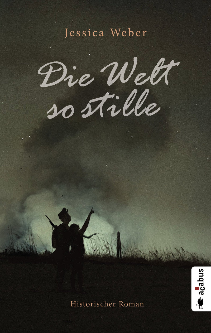 Die Welt so stille. Historischer Roman aus dem Deutsch-Dänischen Krieg von Jessica Weber