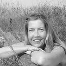 Sehnsucht nach Zypern. Ein Roman von Julia Lehnen