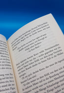 Im Flow der Welle. Begegnung am Surfspot Borkum. Ein Roman von Astrid Schlung